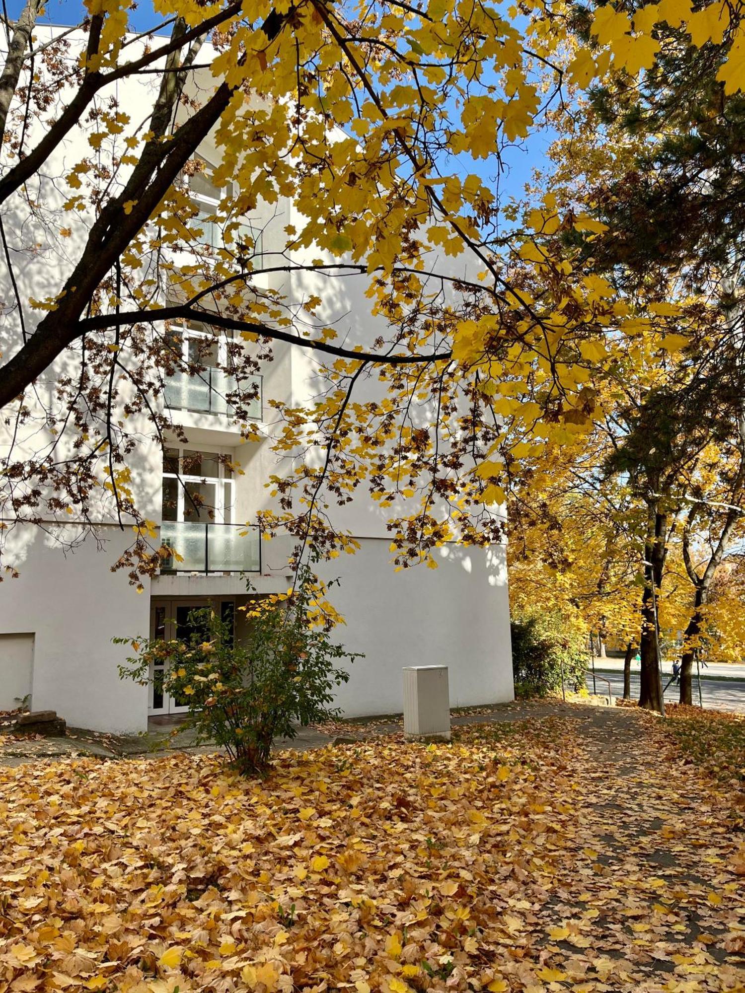 Oazis Apartman Veszprém Extérieur photo